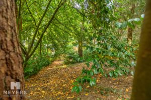 Photo 13- click for photo gallery